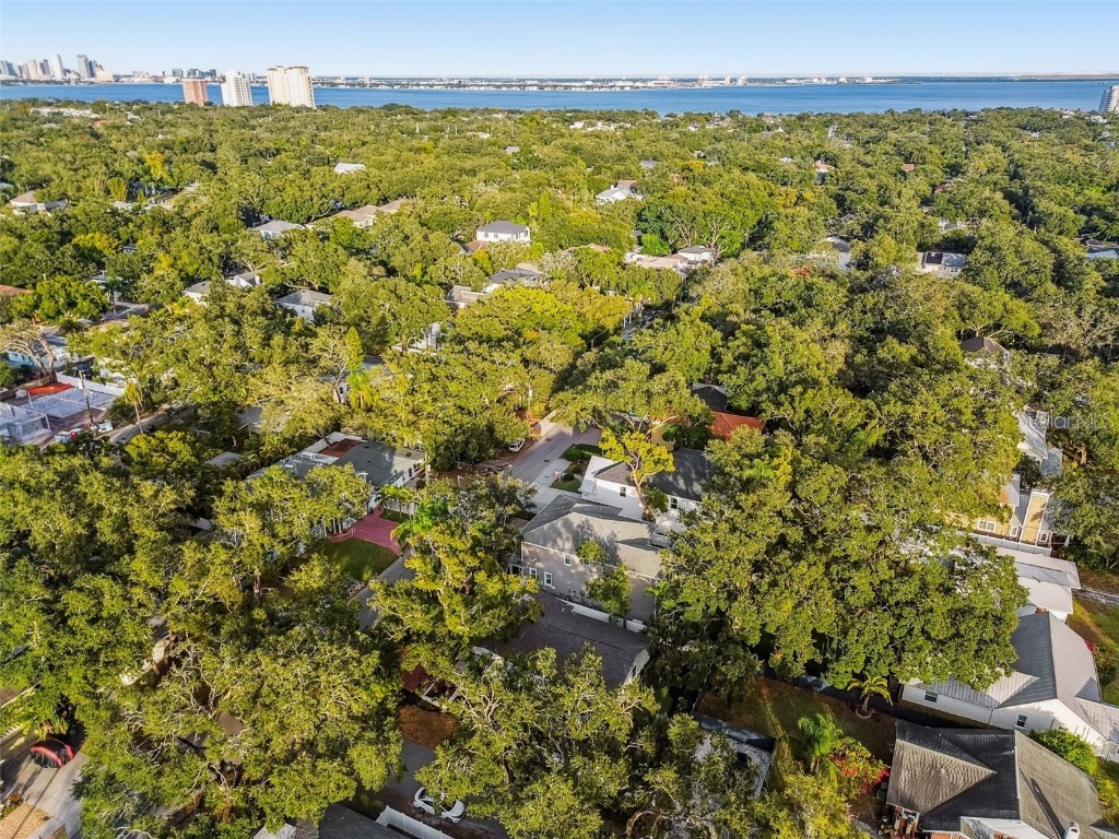 3320 W Villa Rosa Street Tampa FL 33611 TB8447813 image57