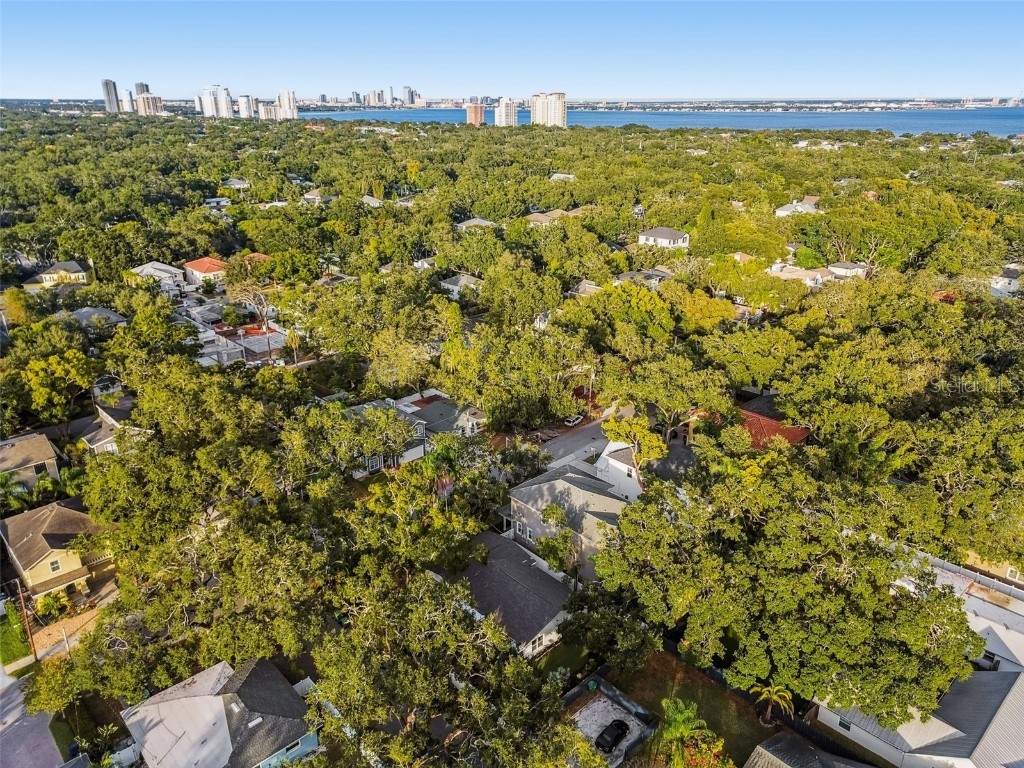 3320 W Villa Rosa Street Tampa FL 33611 TB8447813 image58