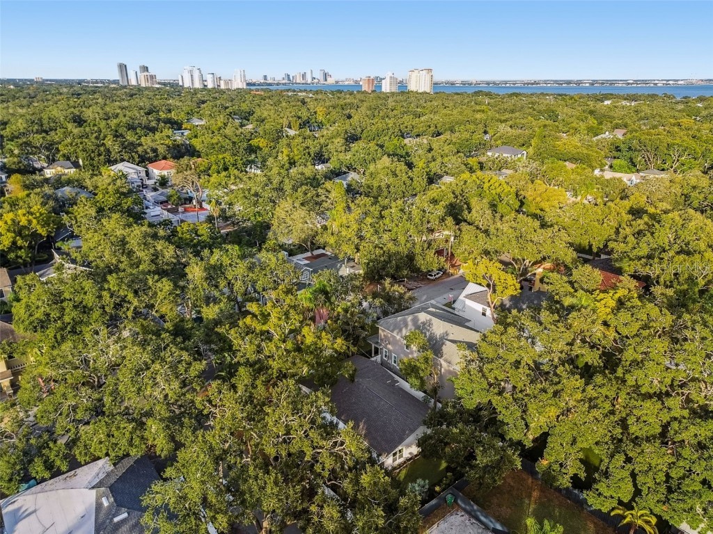 3320 W Villa Rosa Street Tampa FL 33611 TB8447813 image59