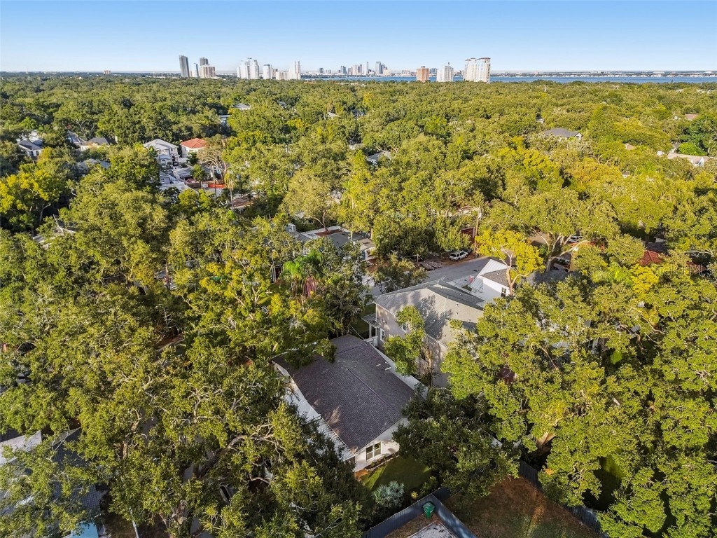 3320 W Villa Rosa Street Tampa FL 33611 TB8447813 image60