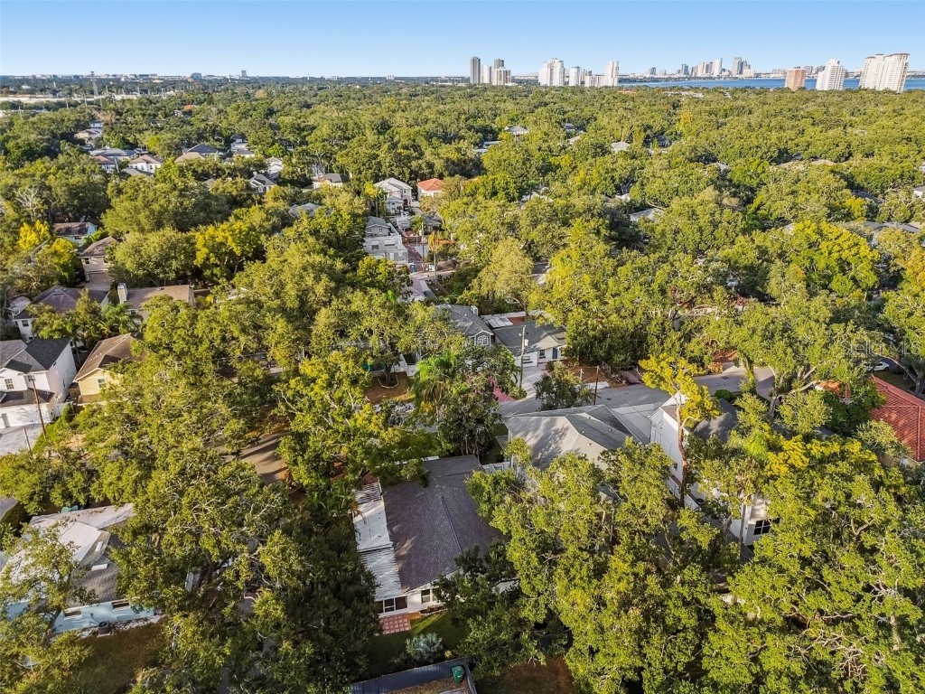 3320 W Villa Rosa Street Tampa FL 33611 TB8447813 image61