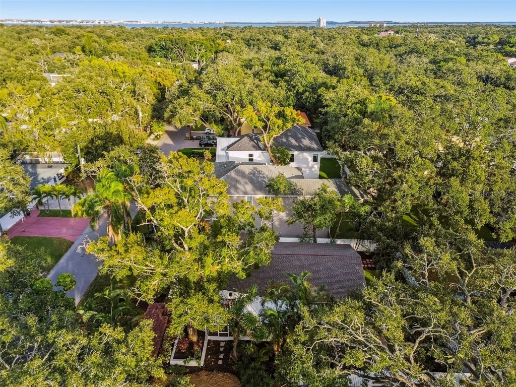 3320 W Villa Rosa Street Tampa FL 33611 TB8447813 image63