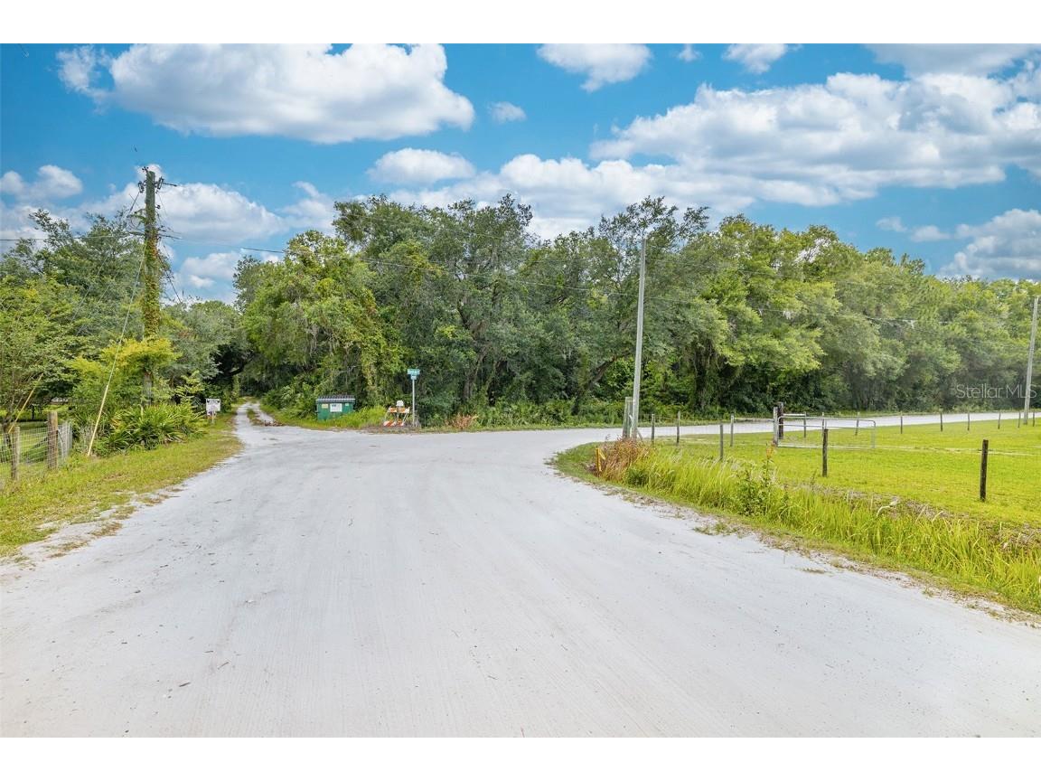 33209 Camerton Road Wesley Chapel FL 33543 - NEW RIVER T3447992 image1