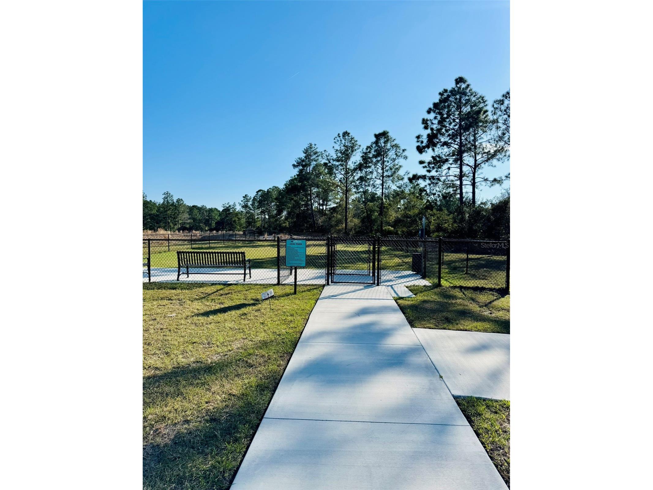 3321 Arch Avenue Ormond Beach FL 32174 O6388739 image65