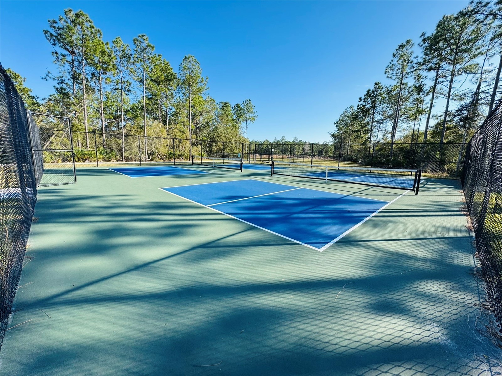 3321 Arch Avenue Ormond Beach FL 32174 O6388739 image75