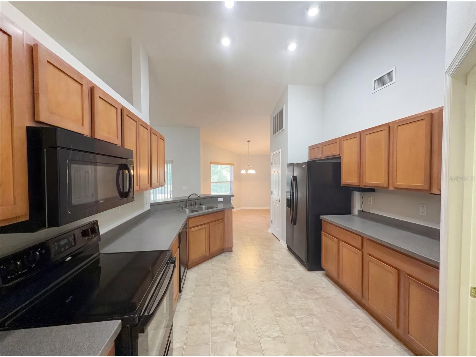 3321 Enclave Boulevard Mulberry FL 33860 O6390612 image2