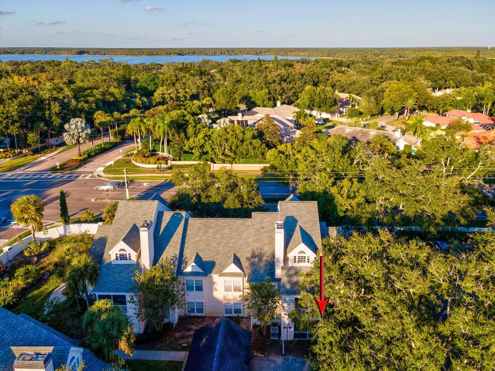 3321 Haviland Court #104 Palm Harbor FL 34684 TB8440029 image2