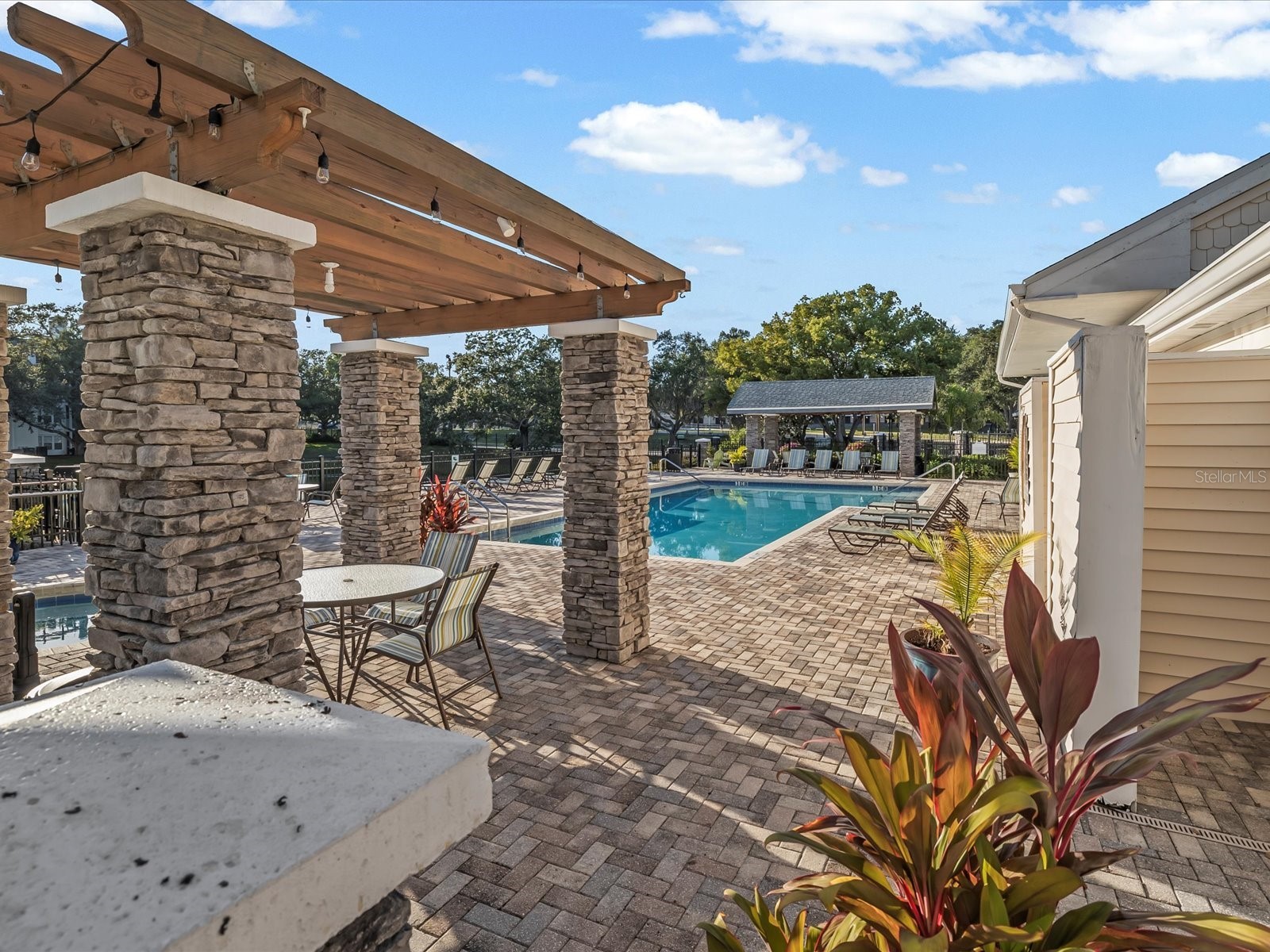 3321 Haviland Court #104 Palm Harbor FL 34684 TB8440029 image34