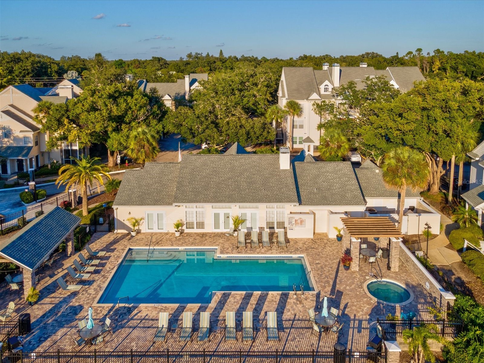 3321 Haviland Court #104 Palm Harbor FL 34684 TB8440029 image35