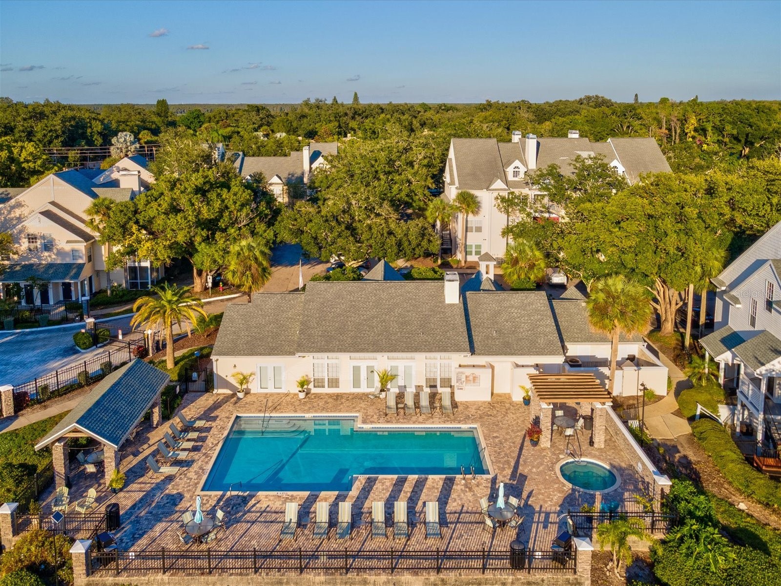 3321 Haviland Court #104 Palm Harbor FL 34684 TB8440029 image36