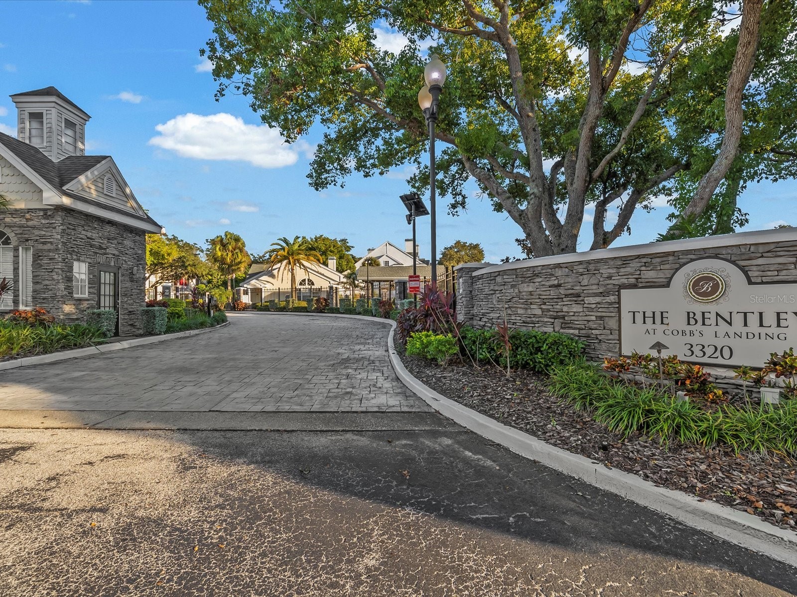 3321 Haviland Court #104 Palm Harbor FL 34684 TB8440029 image37