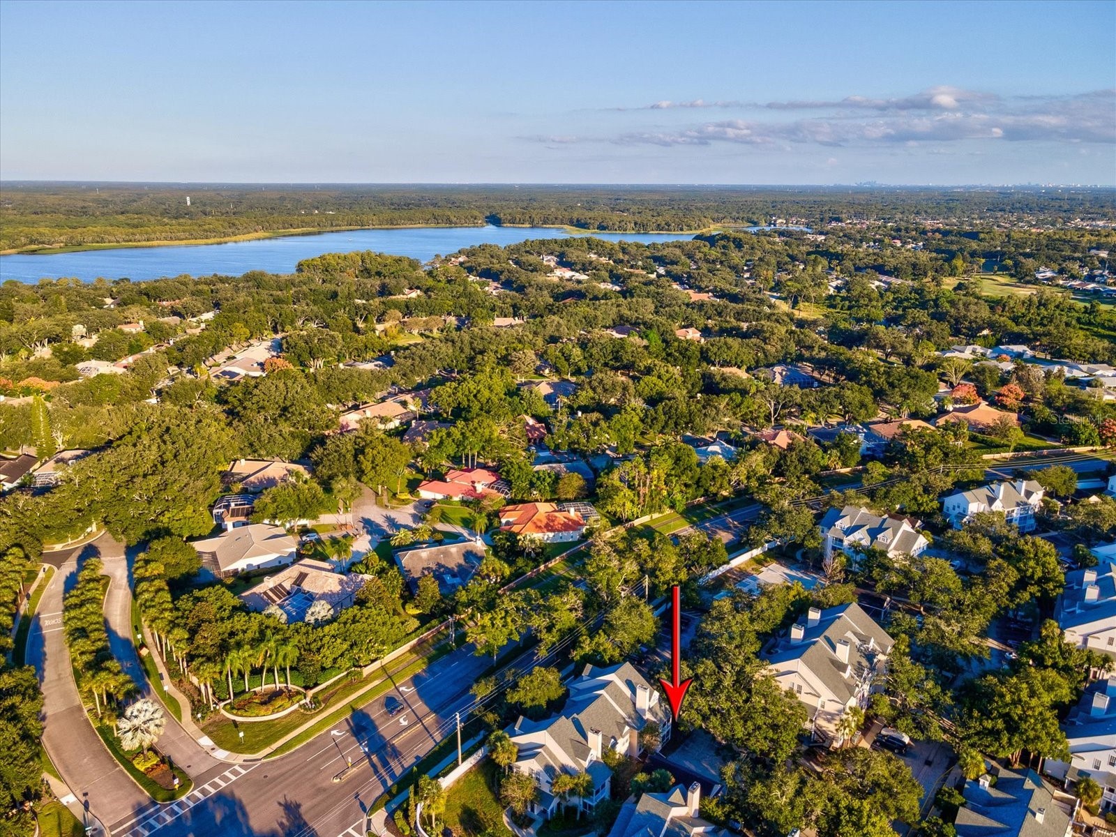 3321 Haviland Court #104 Palm Harbor FL 34684 TB8440029 image43