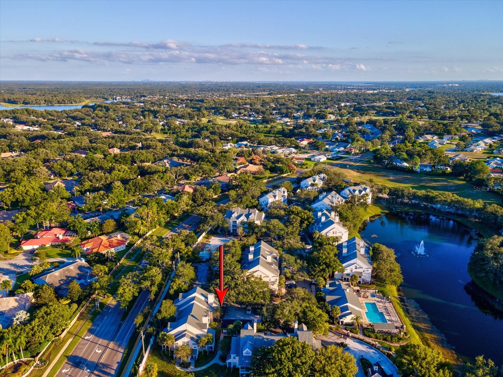 3321 Haviland Court #104 Palm Harbor FL 34684 TB8440029 image44