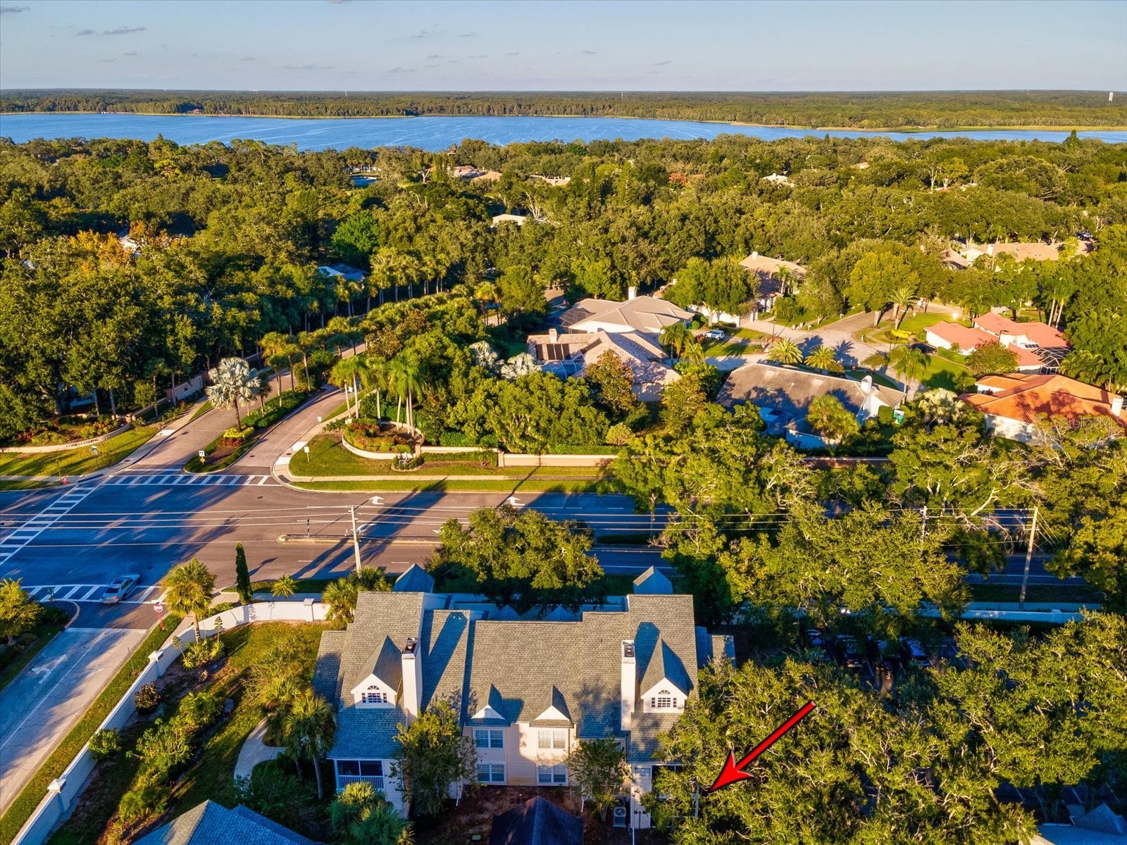 3321 Haviland Court #104 Palm Harbor FL 34684 TB8440029 image47