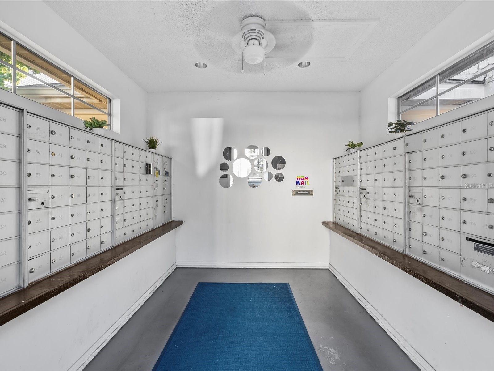 3321 Haviland Court #104 Palm Harbor FL 34684 TB8440029 image50