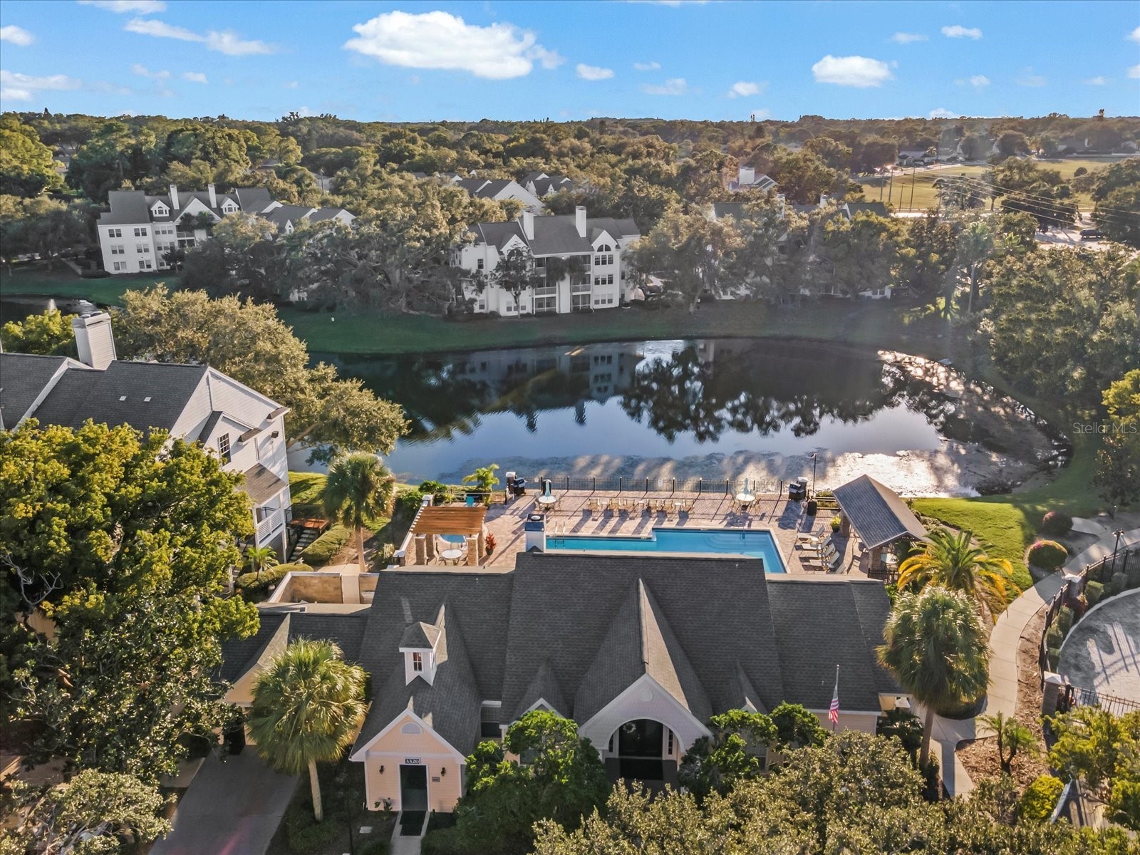 3321 Haviland Court #104 Palm Harbor FL 34684 TB8440029 image51