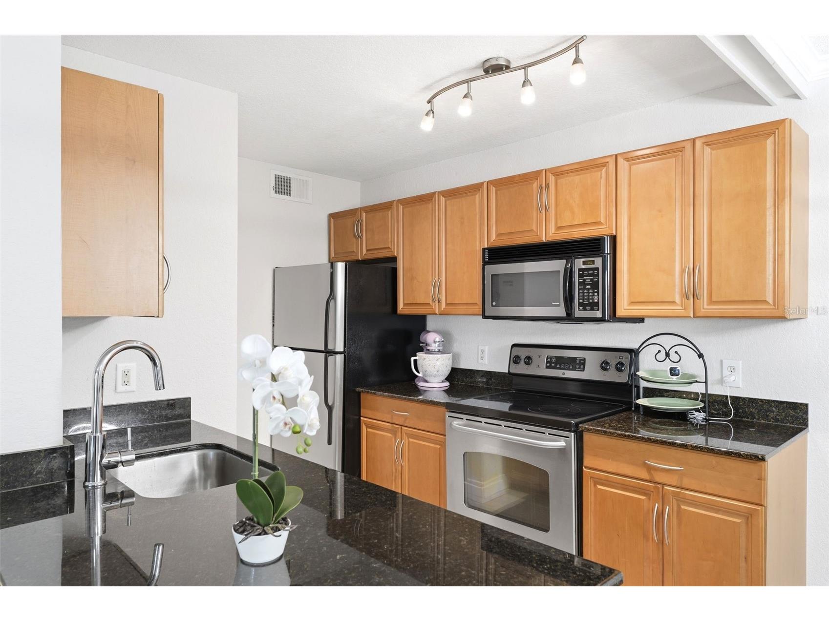 3321 Haviland Court #104 Palm Harbor FL 34684 W7884684 image10