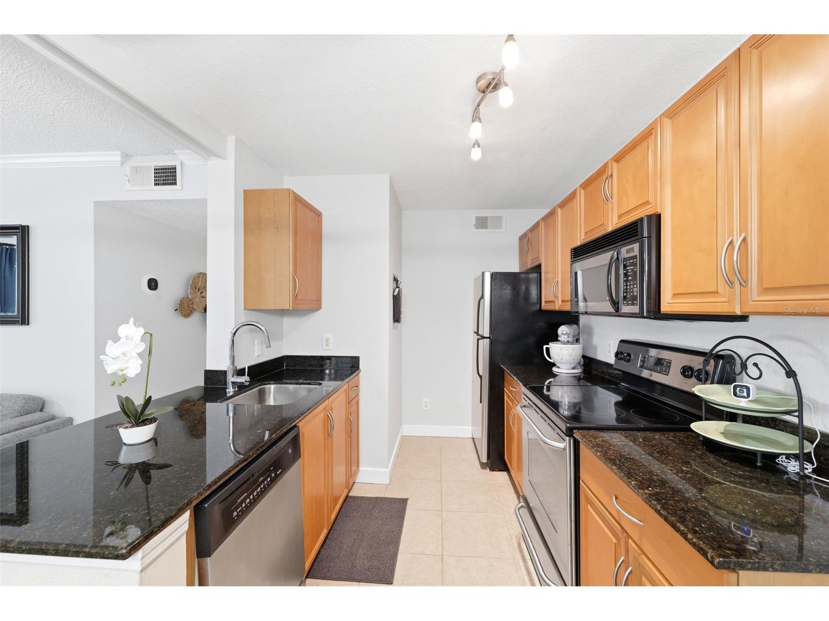3321 Haviland Court #104 Palm Harbor FL 34684 W7884684 image11