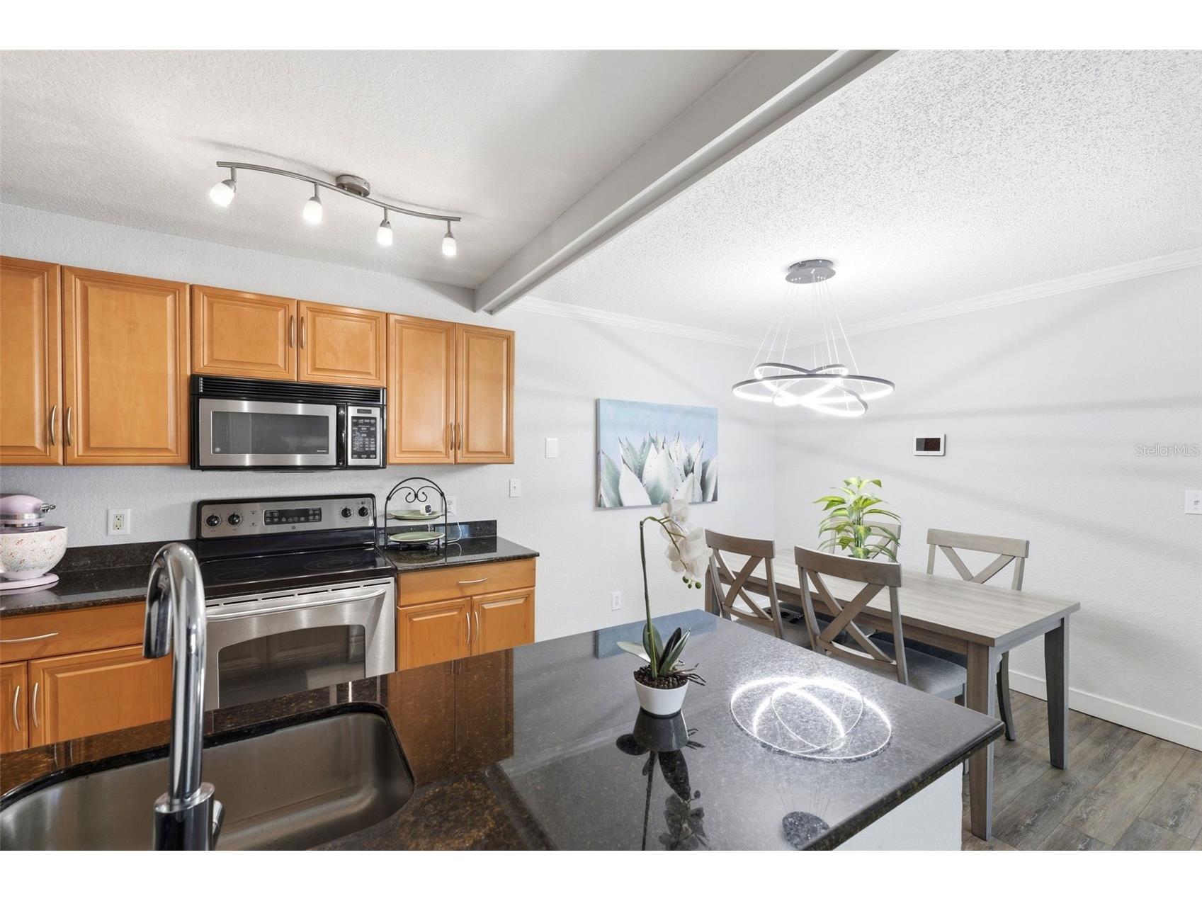 3321 Haviland Court #104 Palm Harbor FL 34684 W7884684 image12