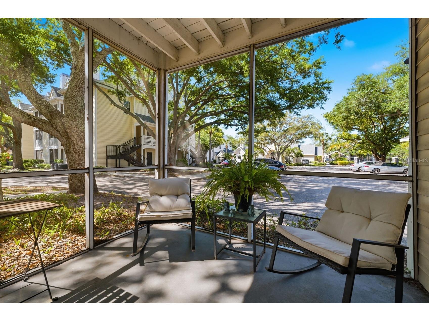 3321 Haviland Court #104 Palm Harbor FL 34684 W7884684 image19