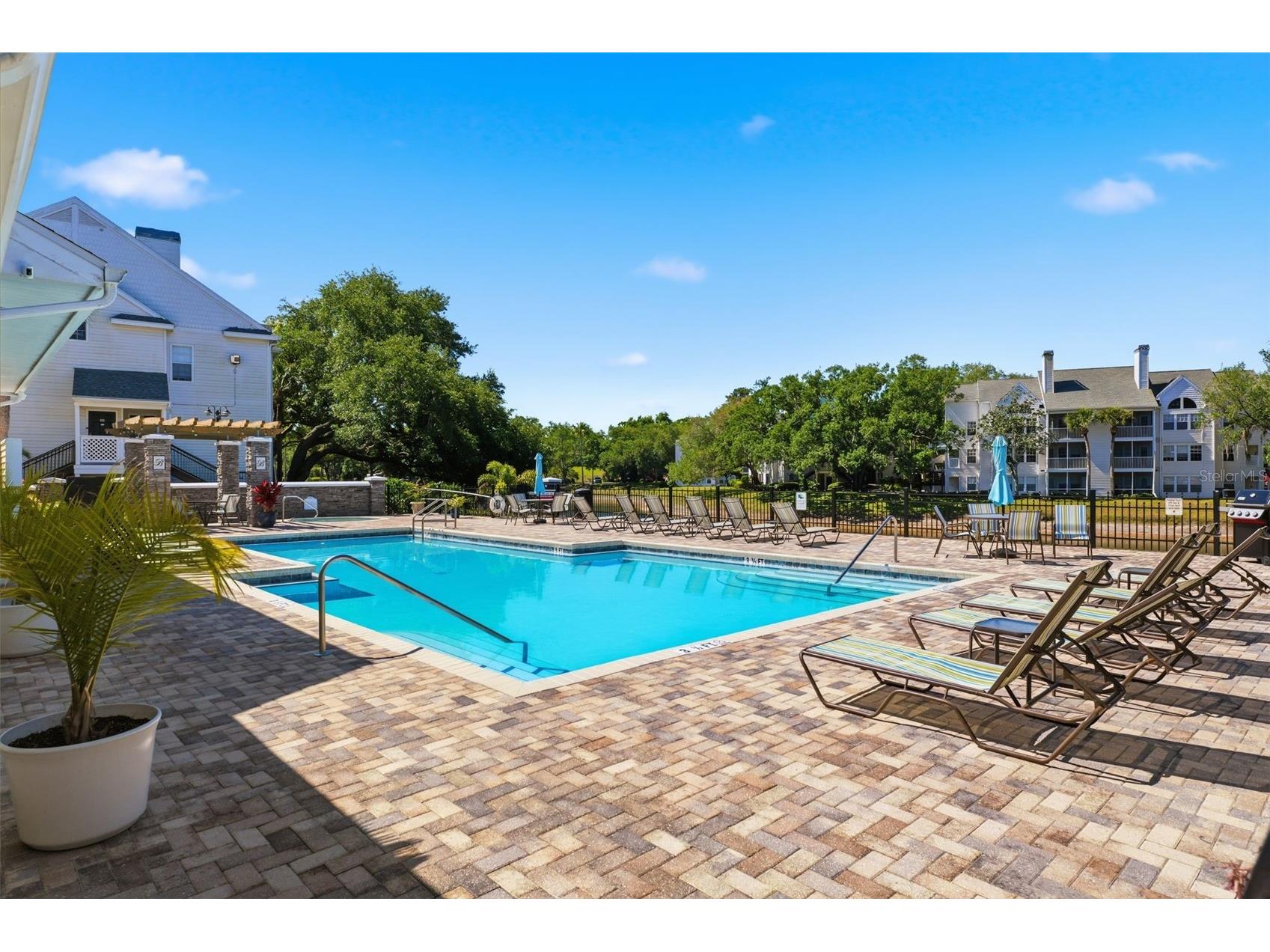 3321 Haviland Court #104 Palm Harbor FL 34684 W7884684 image26