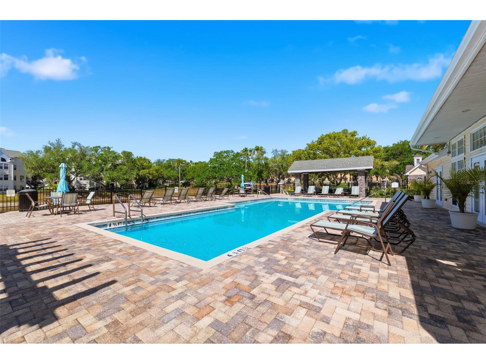 3321 Haviland Court #104 Palm Harbor FL 34684 W7884684 image3