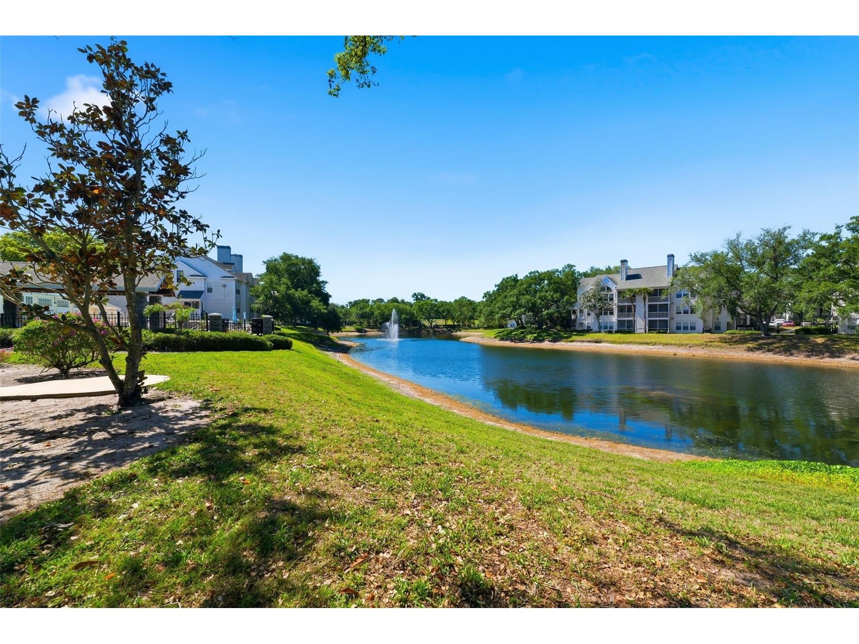 3321 Haviland Court #104 Palm Harbor FL 34684 W7884684 image31