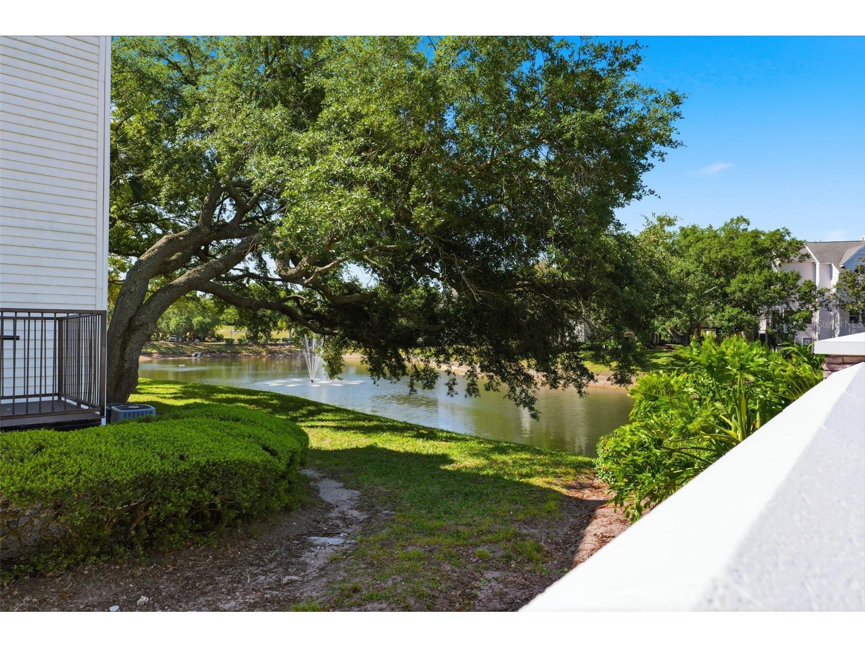 3321 Haviland Court #104 Palm Harbor FL 34684 W7884684 image32