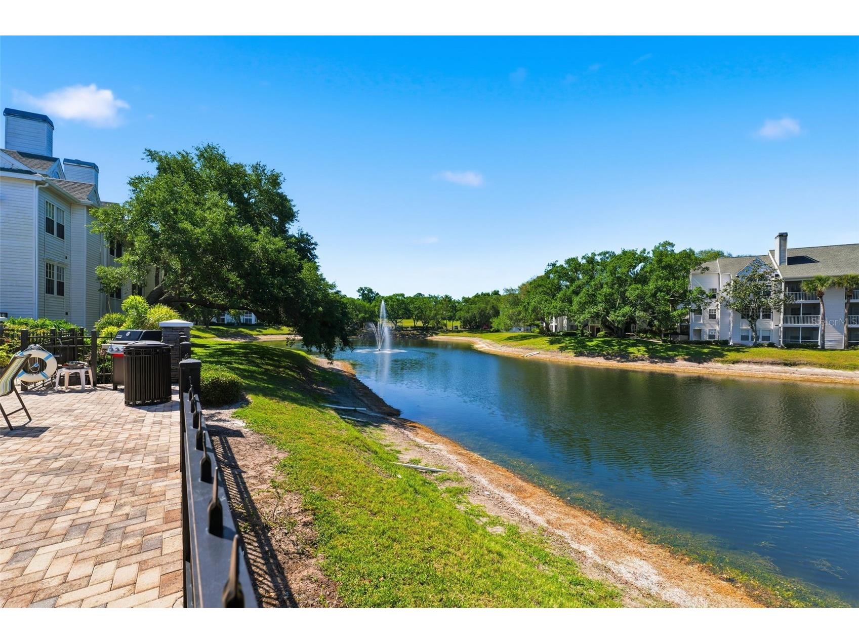3321 Haviland Court #104 Palm Harbor FL 34684 W7884684 image33