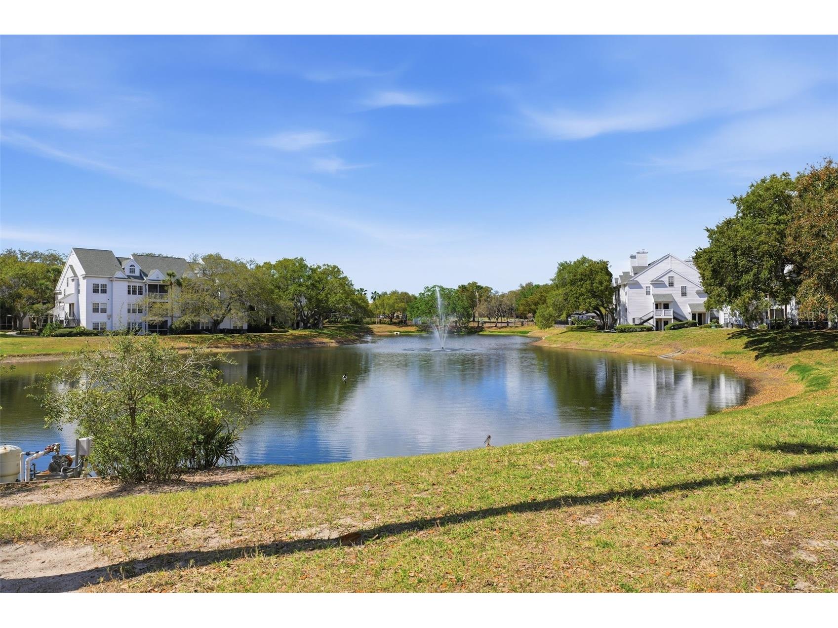 3321 Haviland Court #104 Palm Harbor FL 34684 W7884684 image34