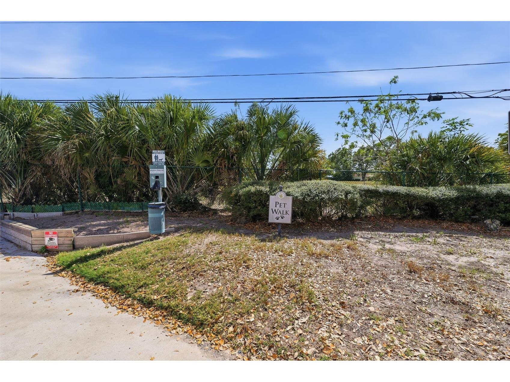 3321 Haviland Court #104 Palm Harbor FL 34684 W7884684 image35