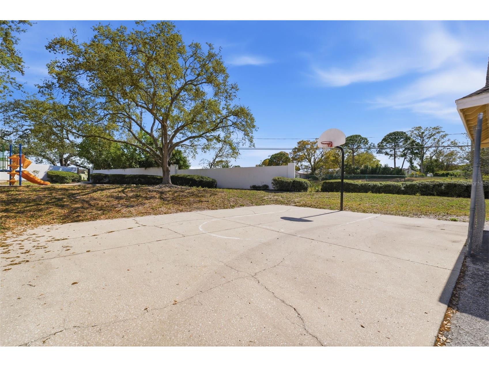3321 Haviland Court #104 Palm Harbor FL 34684 W7884684 image36