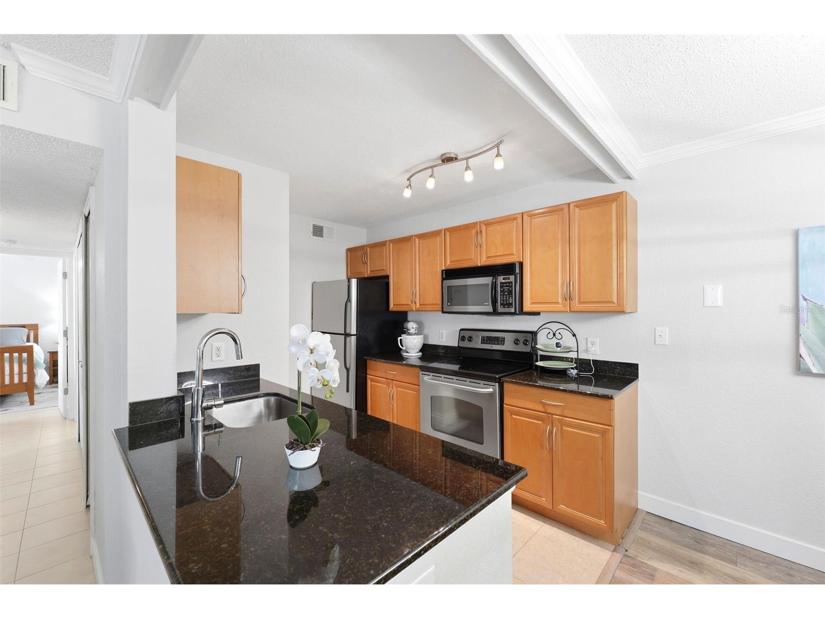 3321 Haviland Court #104 Palm Harbor FL 34684 W7884684 image9