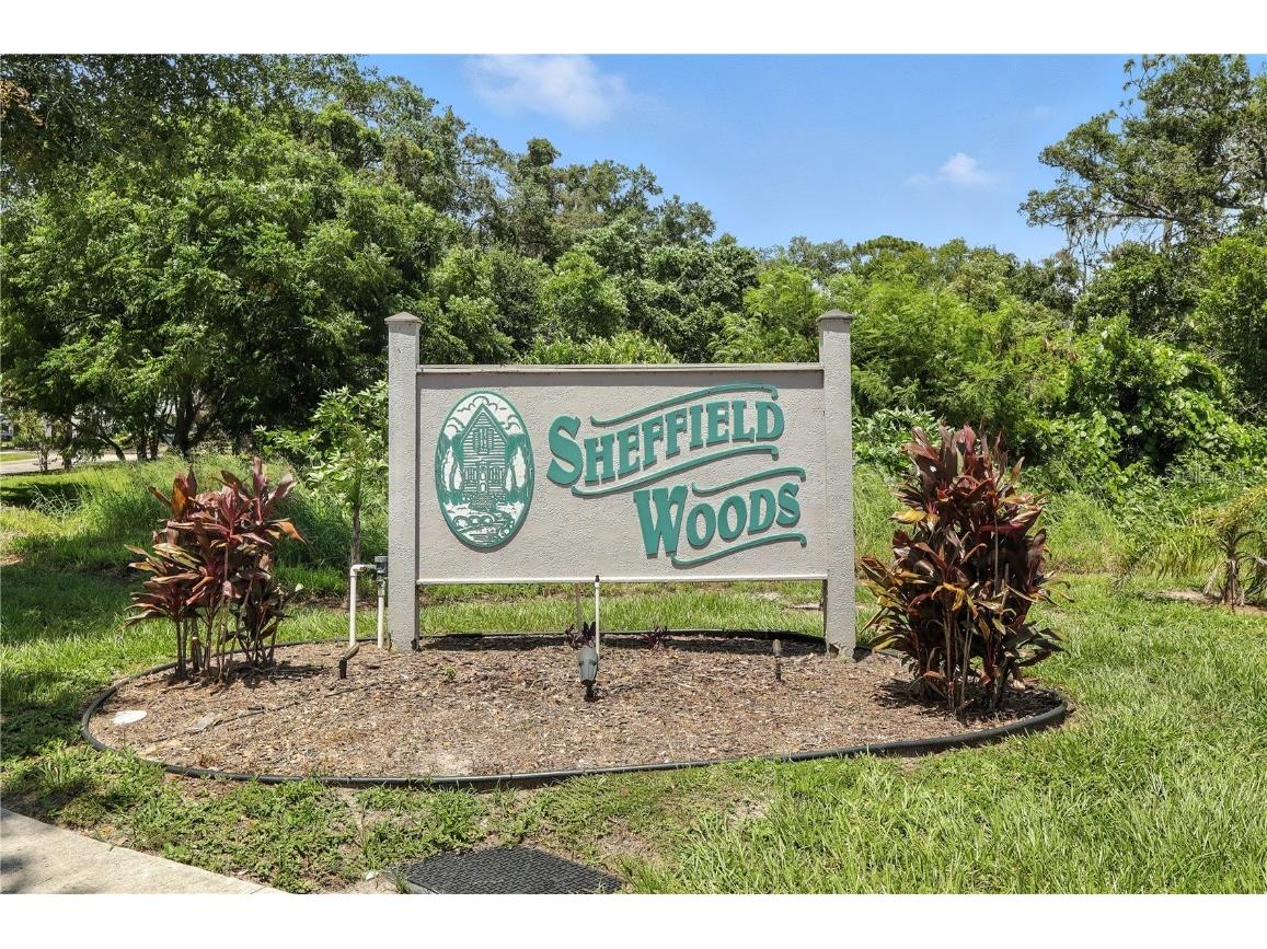 3321 Laurel View Drive Brandon FL 33511 TB8368353 image27