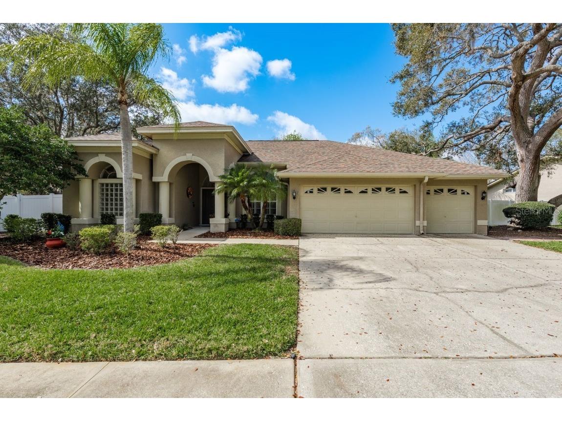 3321 Pattie Place Palm Harbor FL 34685 TB8353338 image1