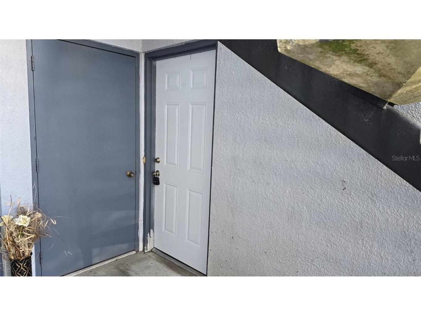 3321 SW 34th Avenue Circle #2 Ocala FL 34474 OM672067 image1