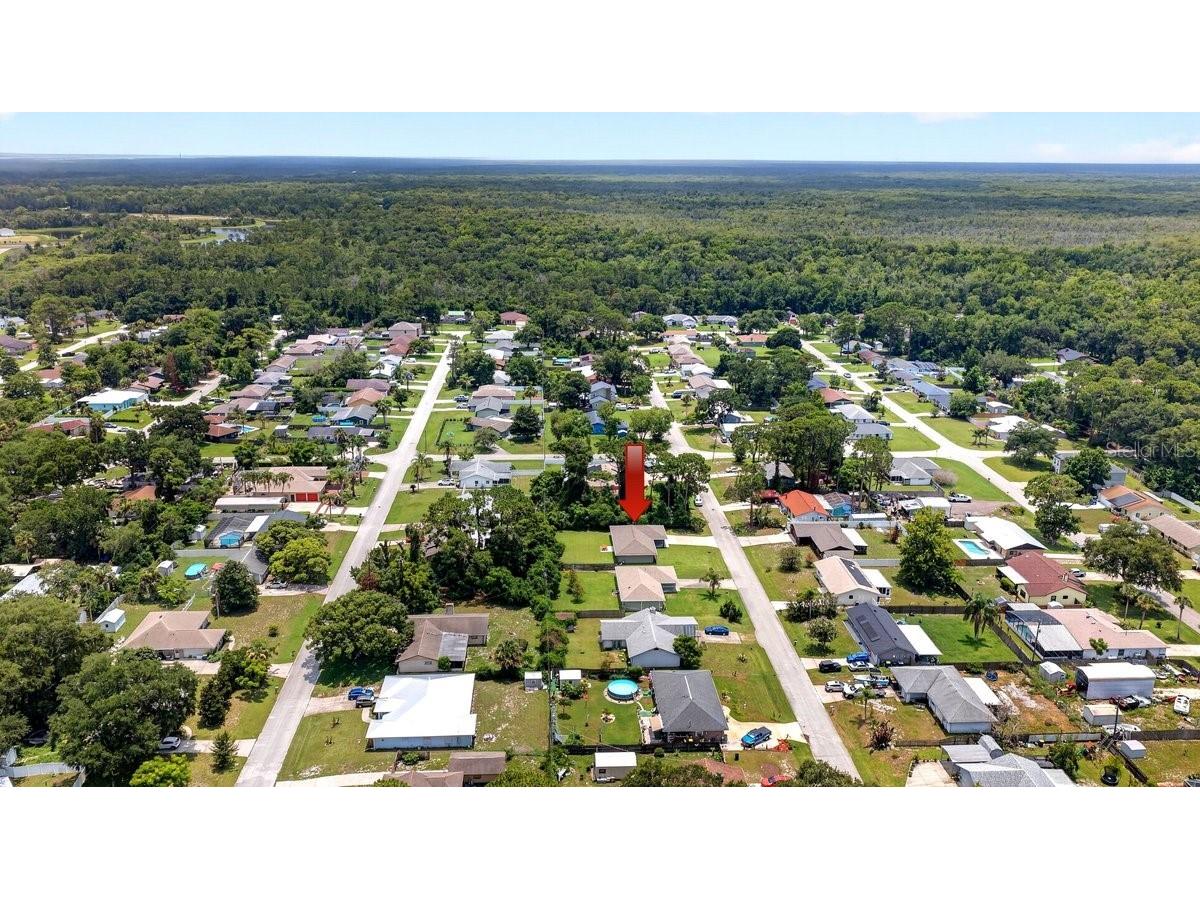 3321 Unity Tree Drive Edgewater FL 32141 NS1088536 image48