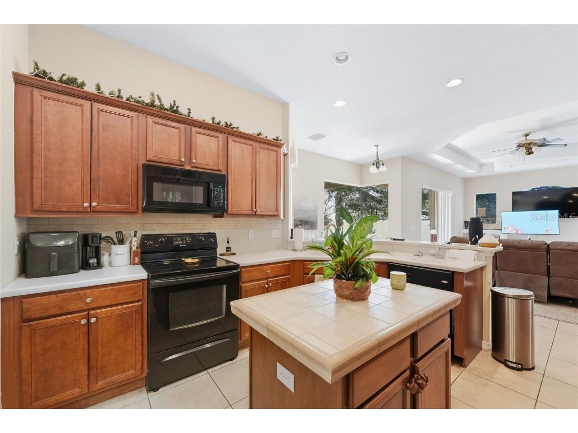 33213 Irongate Drive Leesburg FL 34788 O6347218 image3