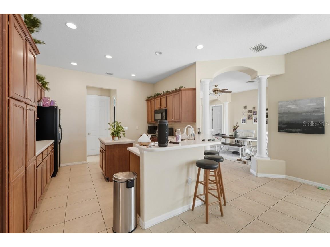 33213 Irongate Drive Leesburg FL 34788 O6347218 image4