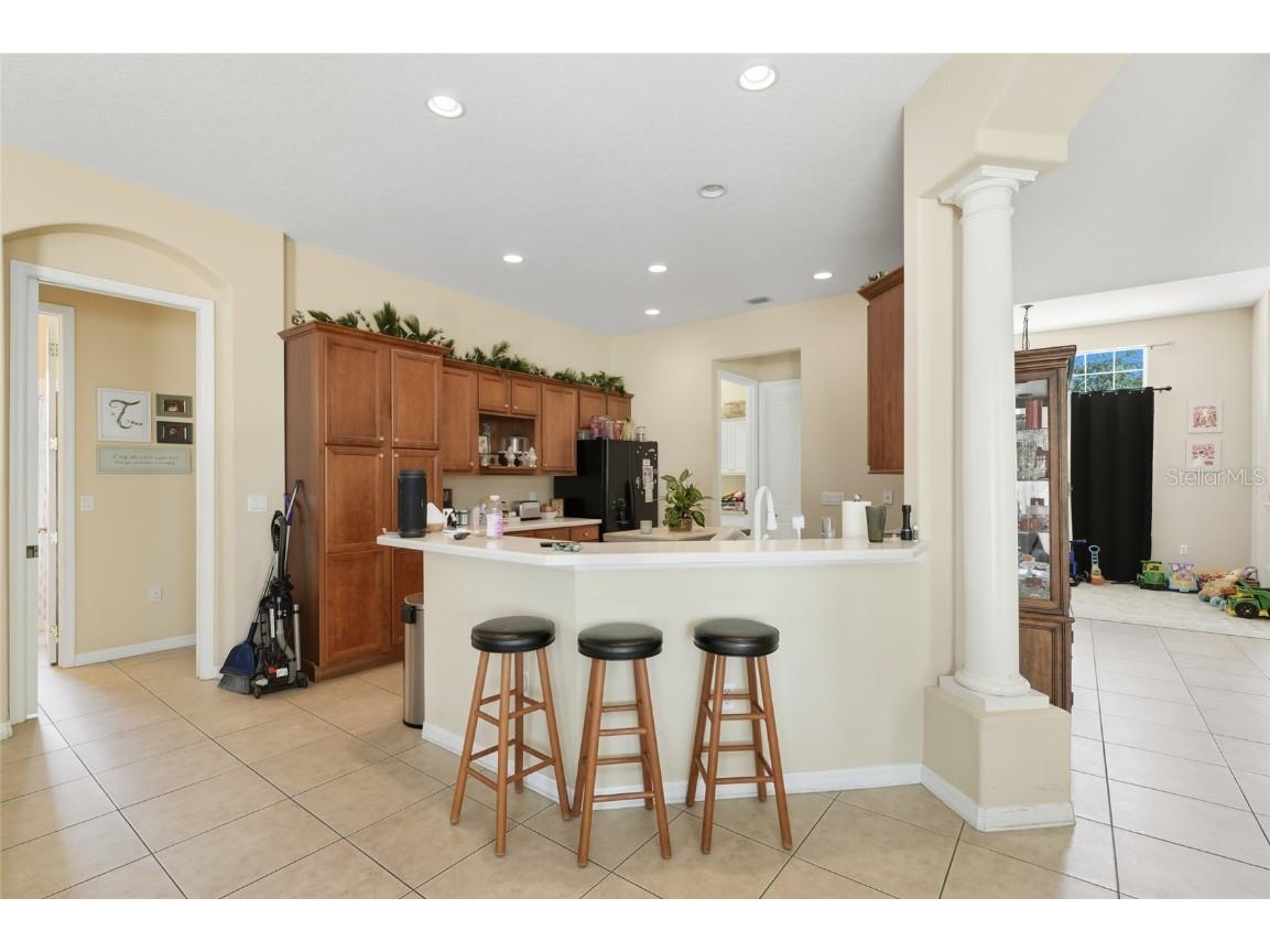 33213 Irongate Drive Leesburg FL 34788 O6347218 image9