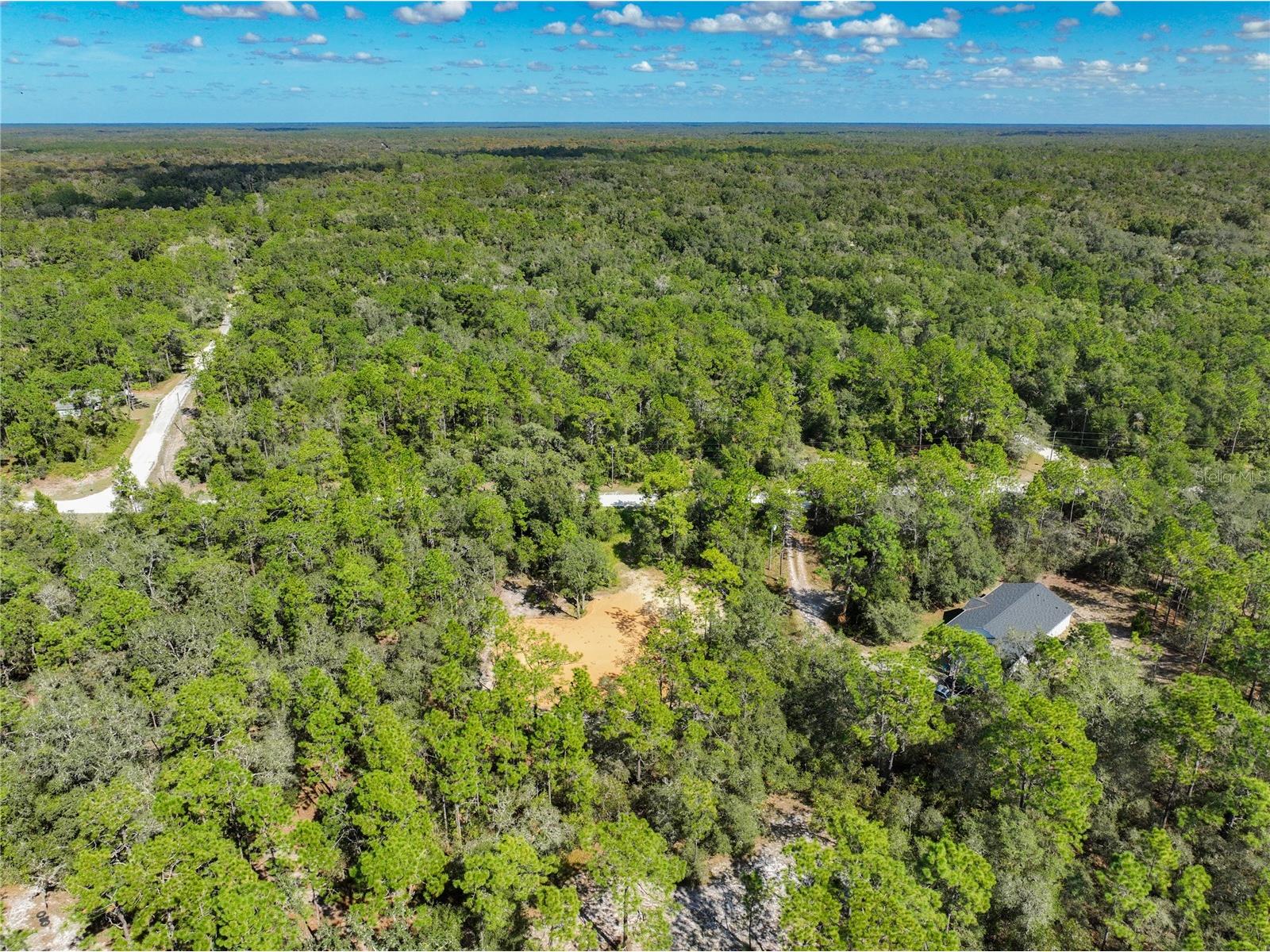 33216 Teakwood Drive Webster FL 33597 G5103643 image13