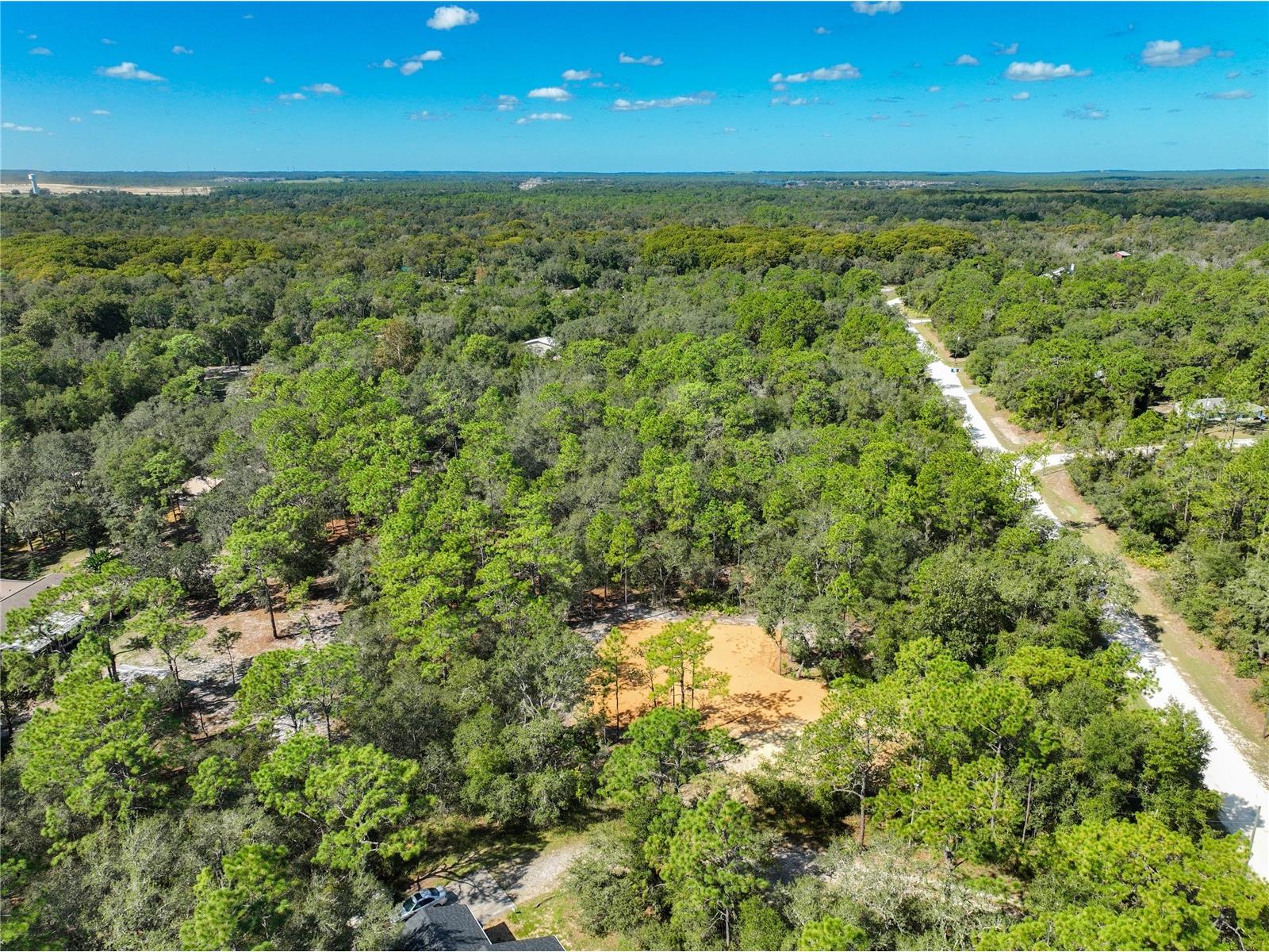 33216 Teakwood Drive Webster FL 33597 G5103643 image17