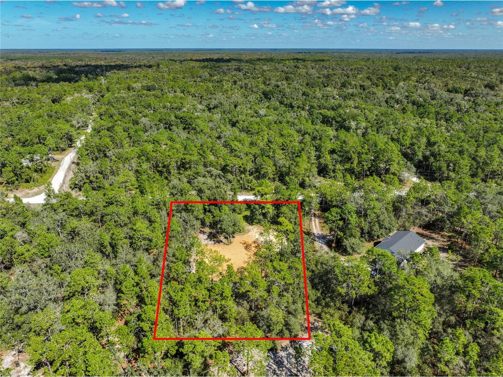 33216 Teakwood Drive Webster FL 33597 G5103643 image3