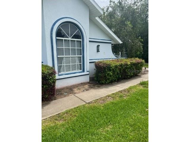 3322 Augustine Road Spring Hill FL 34609 U8206770 image1