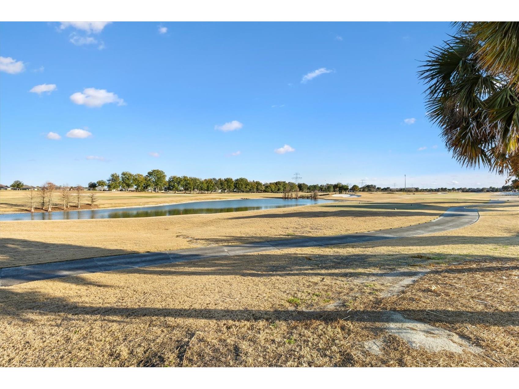 3322 Boardroom Trail The Villages FL 32163 G5107977 image58