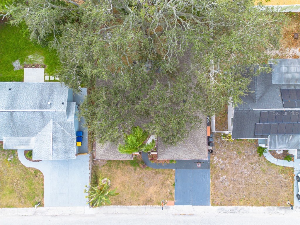 3322 Fairmount Drive Holiday FL 34691 TB8451894 image5