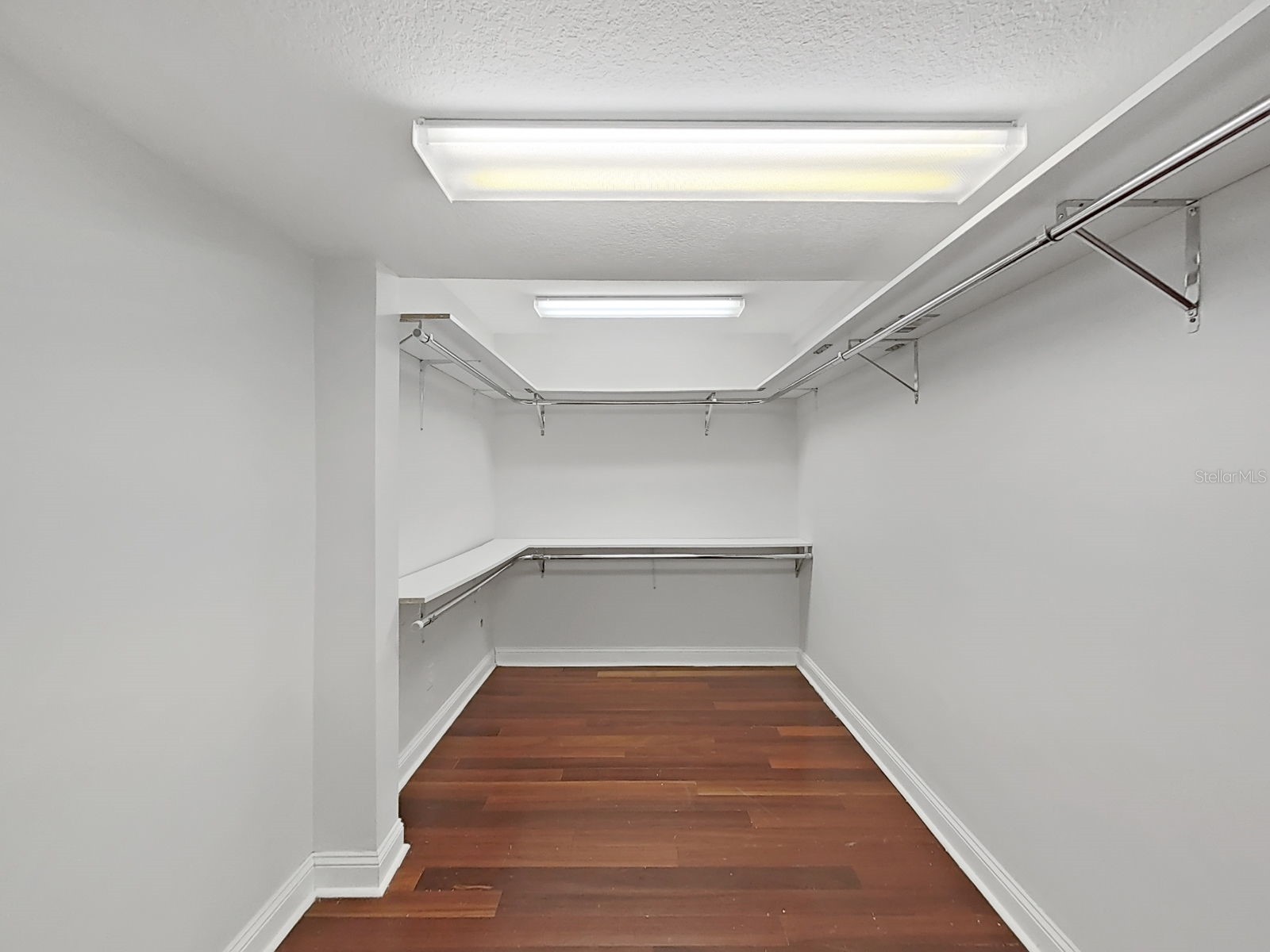 3322 Schefflera Road Tampa FL 33618 TB8518797 image22