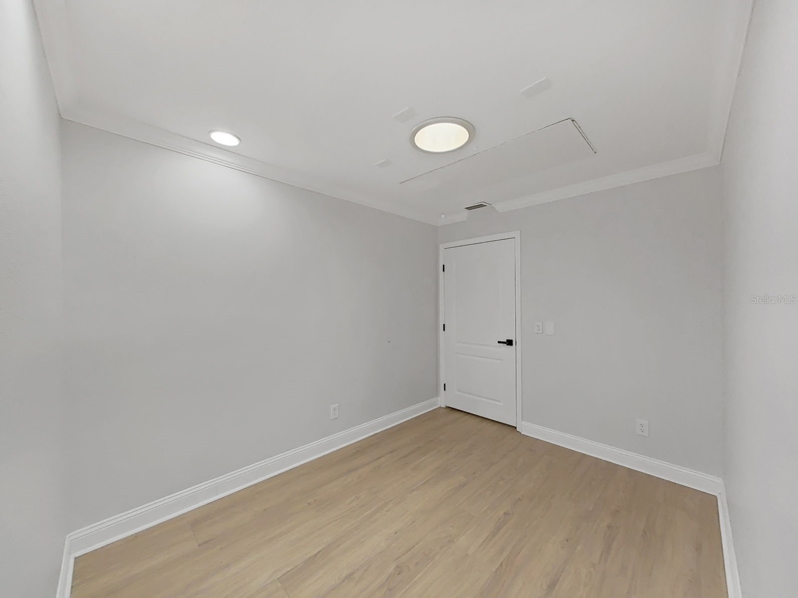 3322 Schefflera Road Tampa FL 33618 TB8518797 image39