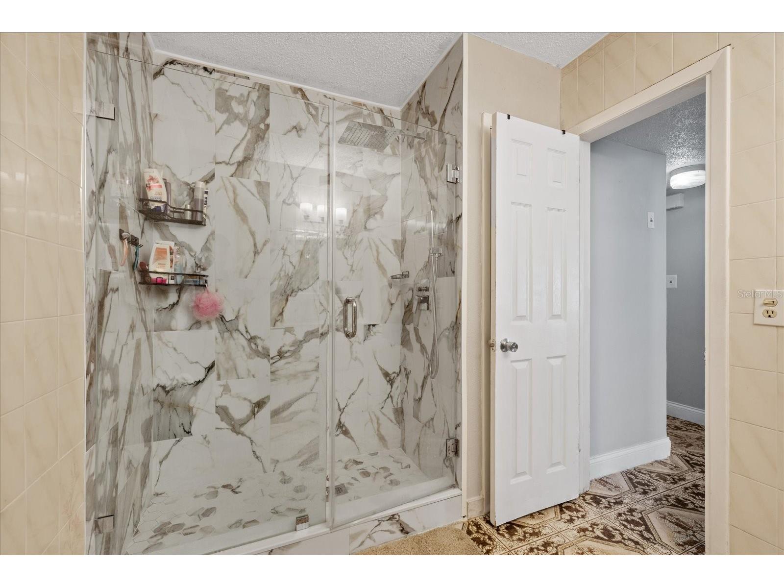 3322 W Kathleen Street Tampa FL 33607 TB8513955 image20