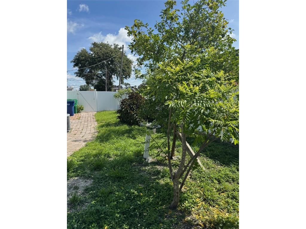 3322 W Saint Joseph Street Tampa FL 33607 TB8405217 image24
